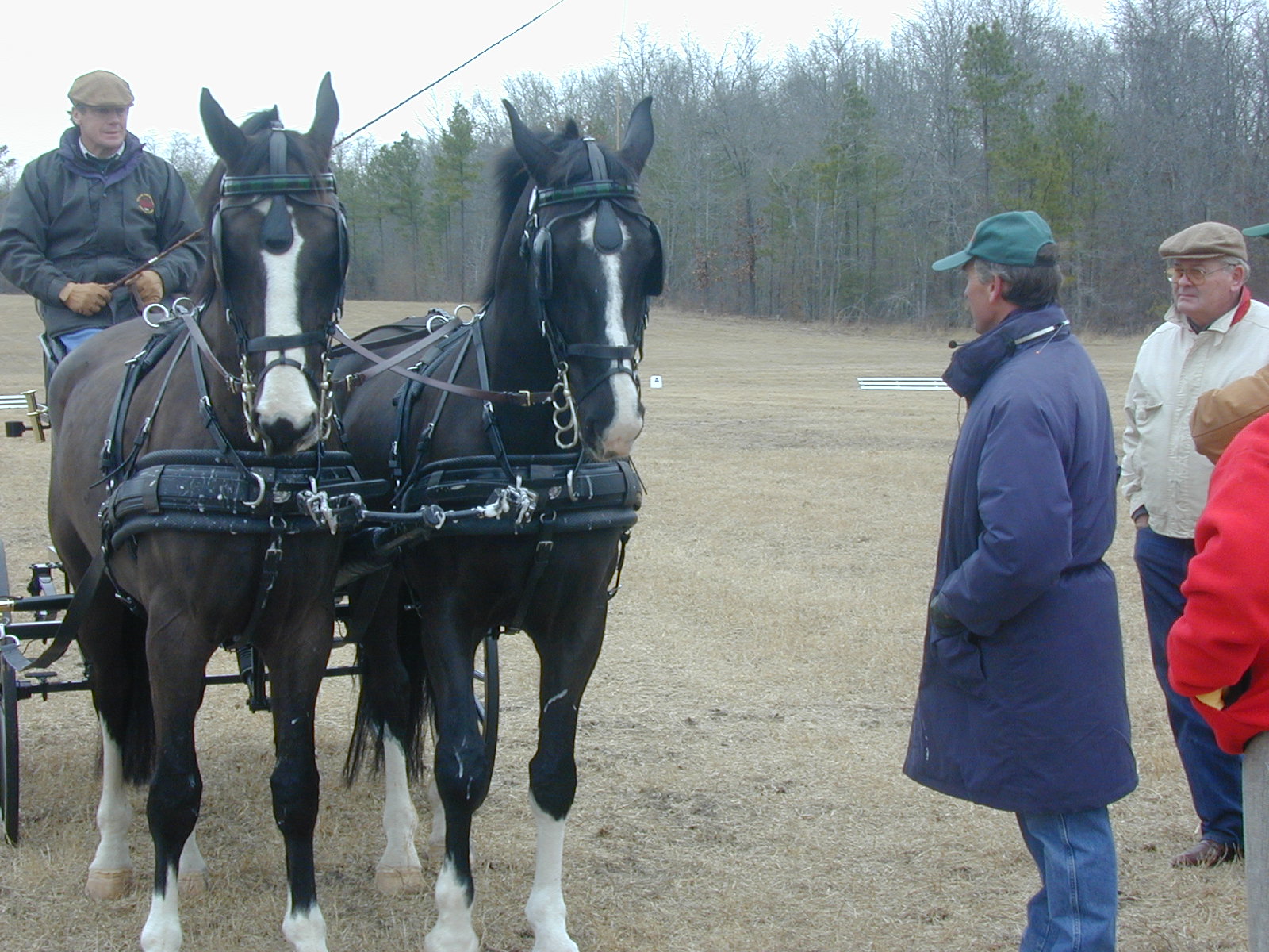 Aiken Driving Club Drive at Black Forest Equestrian Center.