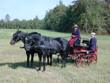 Aiken Driving Club Drive at Black Forest Equestrian Center.