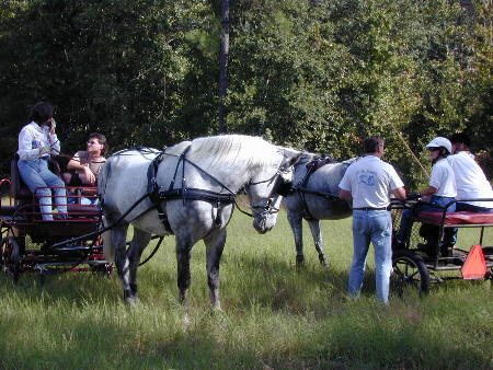 Aiken Driving Club Drive at Black Forest Equestrian Center.