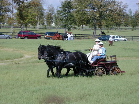 Aiken Driving Club Drive at Black Forest Equestrian Center.