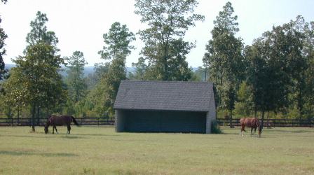 Turnout Paddocks with Run-ins