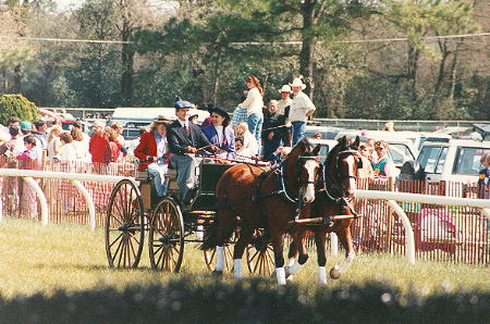 Ivan Lewis Driving