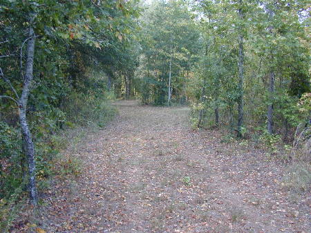 Miles and miles of trails