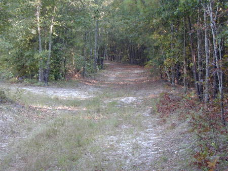 Miles and miles of trails