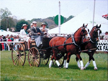 Ivan Lewis Driving